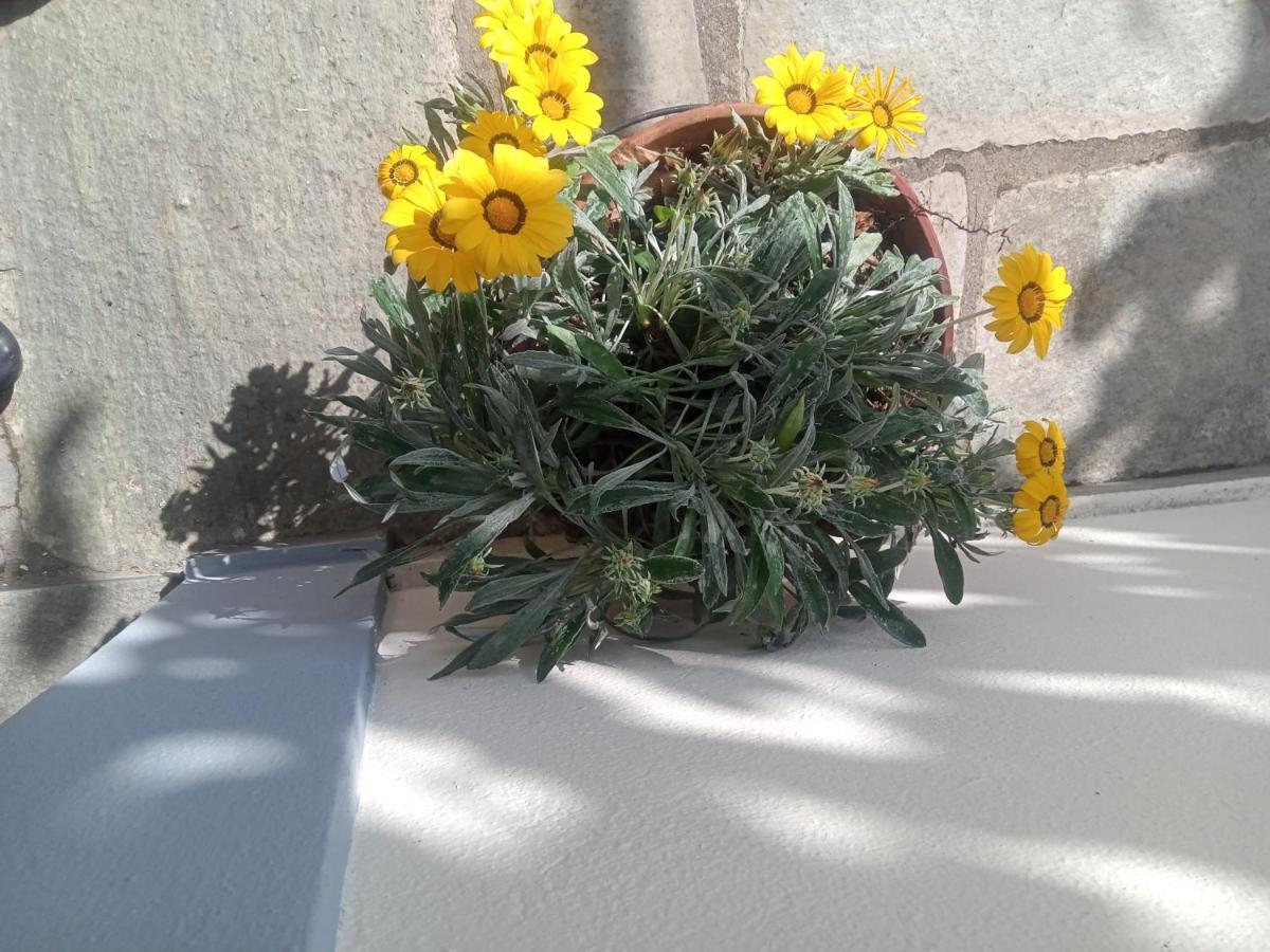 Guesthouse Kallisti Anilio Pelion Exterior foto