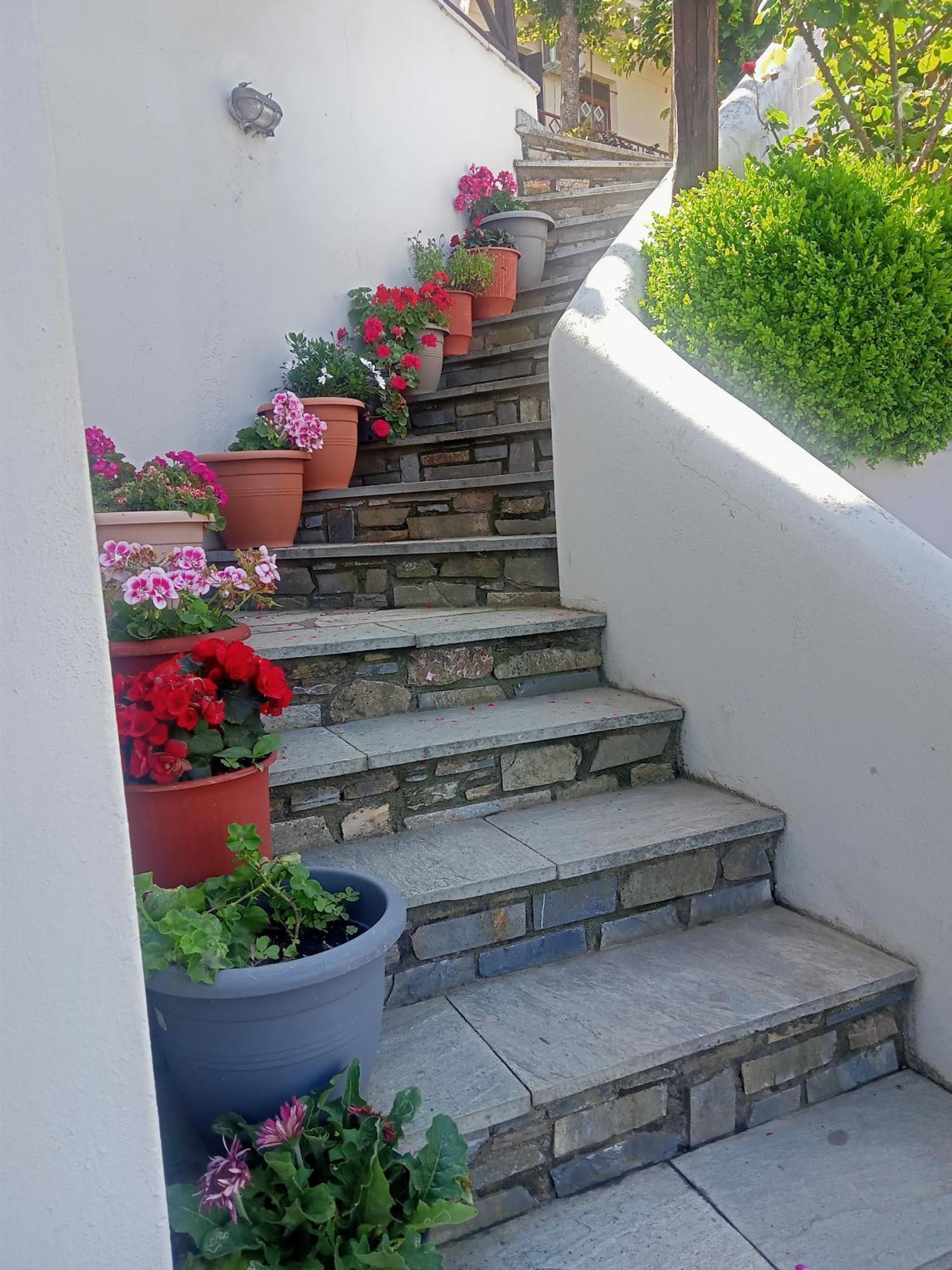 Guesthouse Kallisti Anilio Pelion Exterior foto